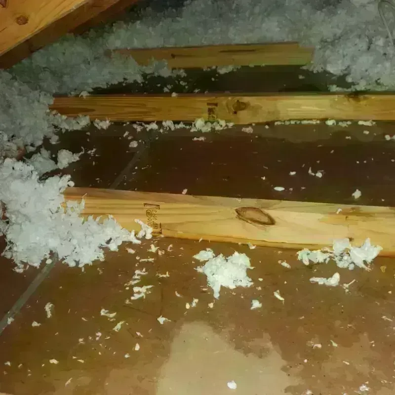 Attic Water Damage in Capitanejo, PR